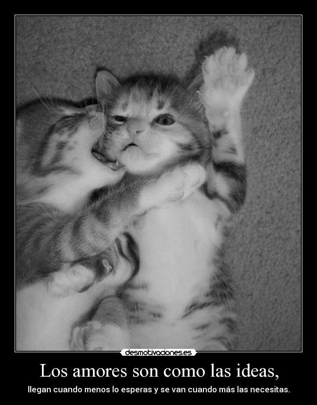 Los amores son como las ideas, -