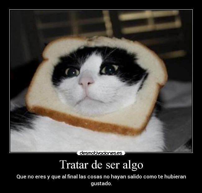 Tratar de ser algo - Que no eres y que al final las cosas no hayan salido como te hubieran gustado.