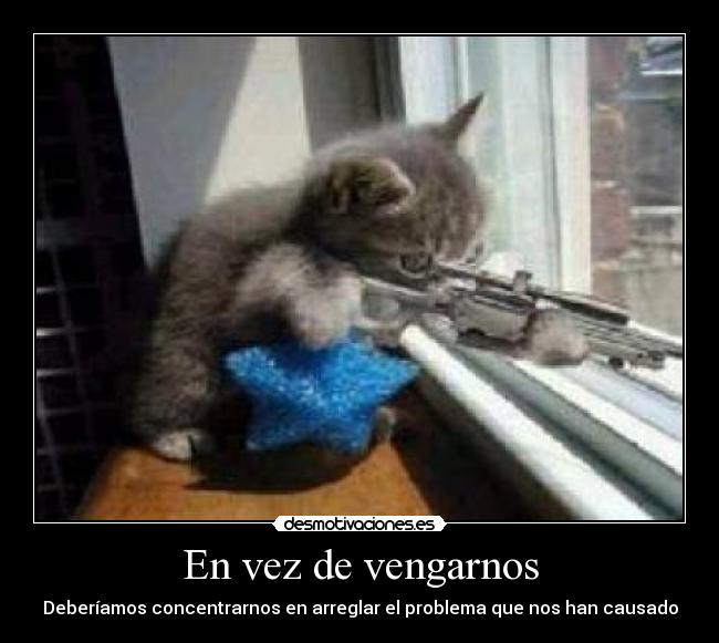 carteles venganza arreglar problema gato pistolero desmotivaciones