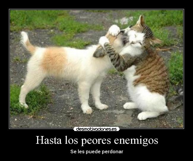 Hasta los peores enemigos - Se les puede perdonar
