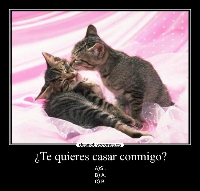 ¿Te quieres casar conmigo? -