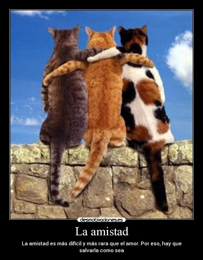 La amistad - 