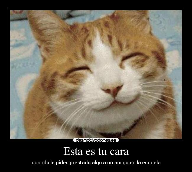 Esta es tu cara - cuando le pides prestado algo a un amigo en la escuela