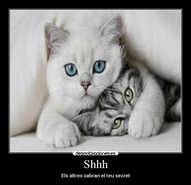 Shhh - Els altres sabran el teu secret