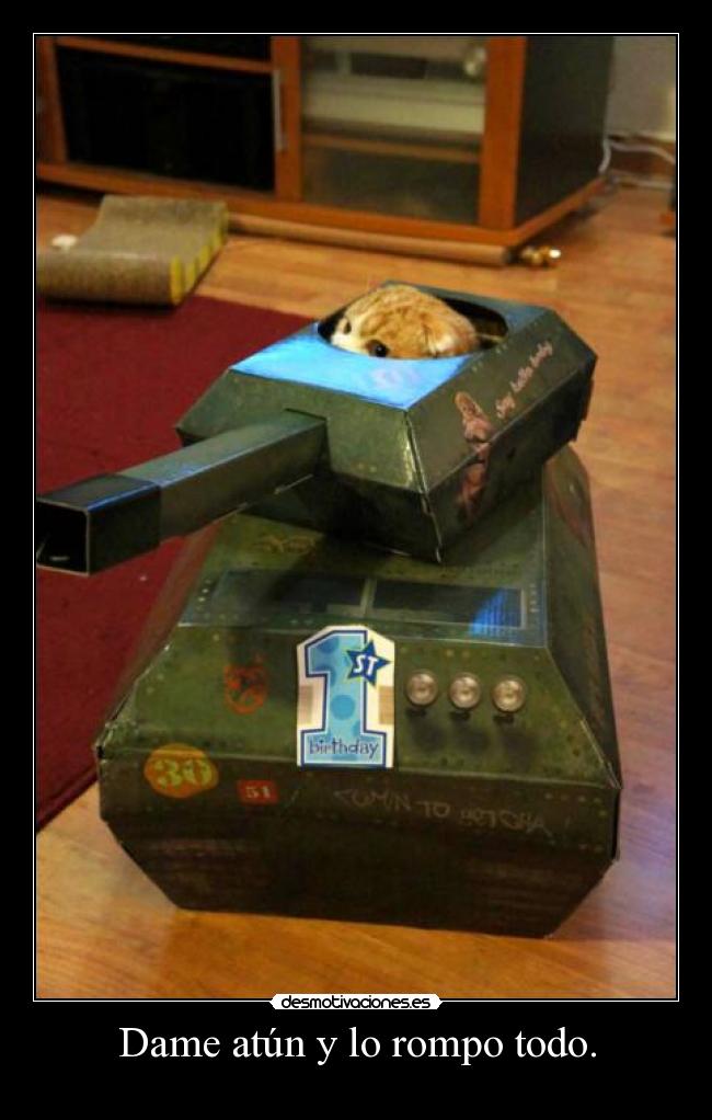 Dame atún y lo rompo todo. - 