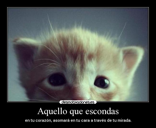 Aquello que escondas - en tu corazón, asomará en tu cara a través de tu mirada.