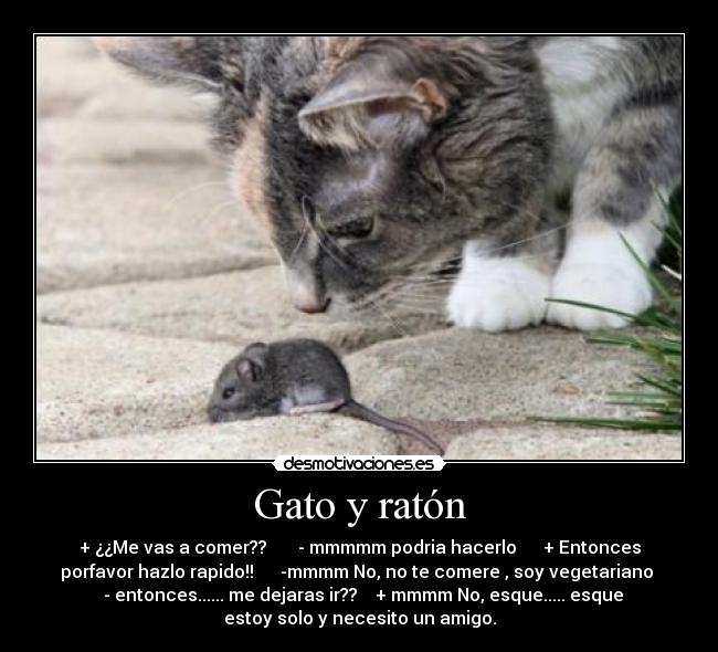 Gato y ratón - + ¿¿Me vas a comer?? - mmmmm podria hacerlo + Entonces
porfavor hazlo rapido!! -mmmm No, no te comere , soy vegetariano
- entonces...... me dejaras ir?? + mmmm No, esque..... esque
estoy solo y necesito un amigo.