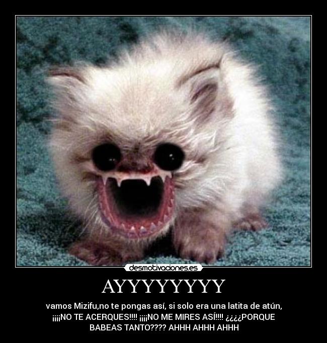 AYYYYYYYY - vamos Mizifu,no te pongas así, si solo era una latita de atún,
¡¡¡¡NO TE ACERQUES!!!! ¡¡¡¡NO ME MIRES ASÍ!!!! ¿¿¿¿PORQUE
BABEAS TANTO???? AHHH AHHH AHHH