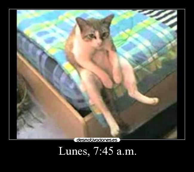 Lunes, 7:45 a.m. - 