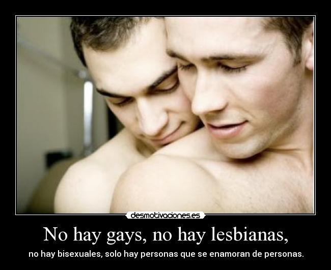 No hay gays, no hay lesbianas, - 