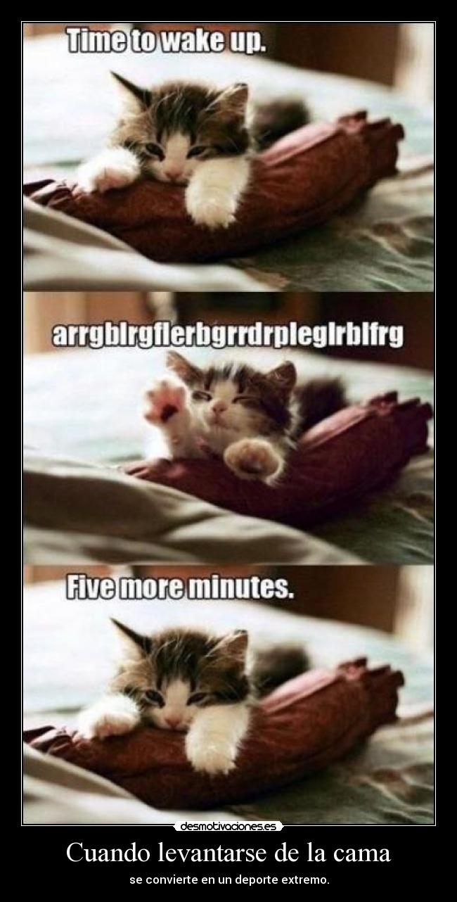 Cuando levantarse de la cama -