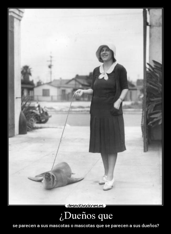 carteles eften desmotivaciones