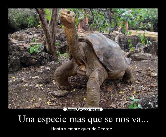 Una especie mas que se nos va... - Hasta siempre querido George...