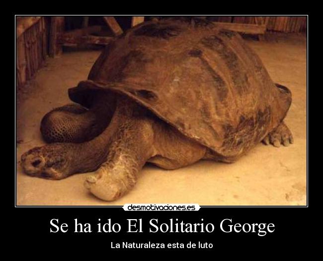 Se ha ido El Solitario George - 