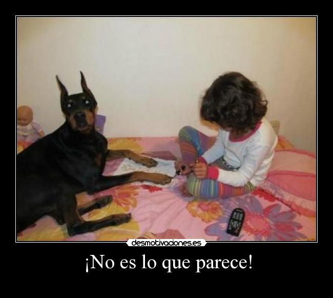 carteles aburro cada vez mas desmotivaciones