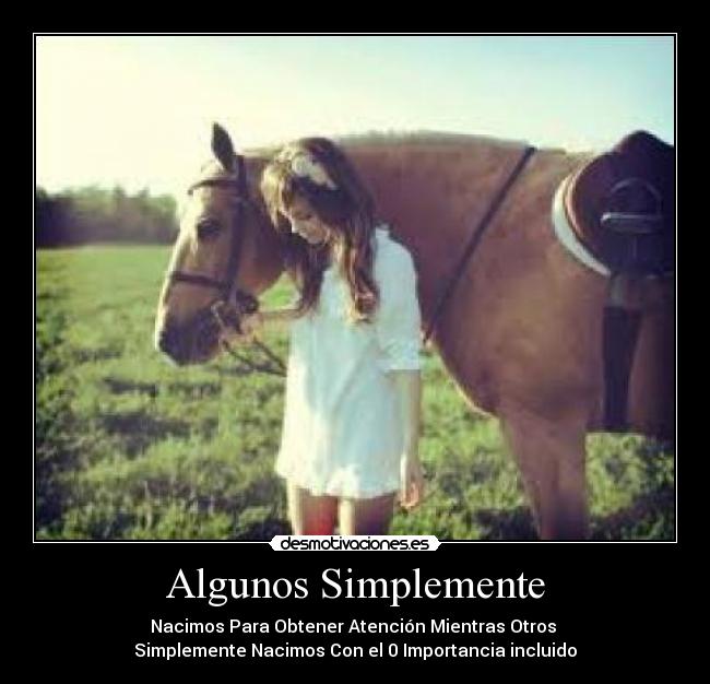 carteles algunos simplementes desmotivaciones