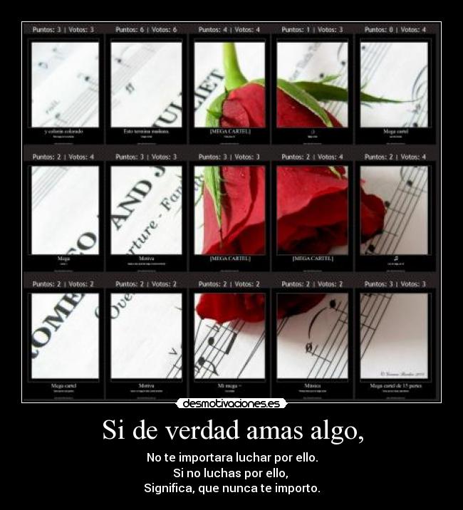 Si de verdad amas algo, - 