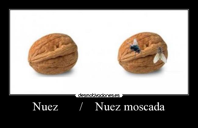 Nuez / Nuez moscada -
