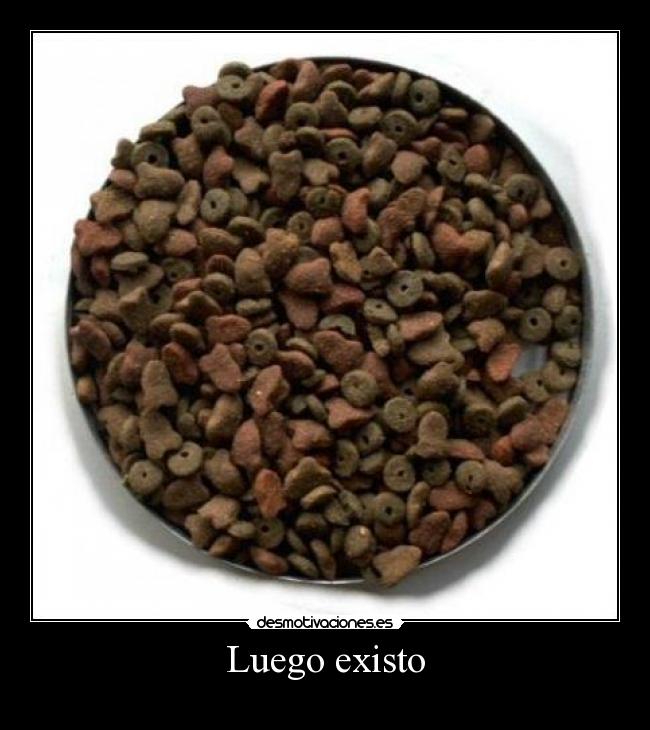 Luego existo -