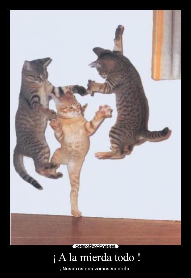 ¡ A la mierda todo ! - 