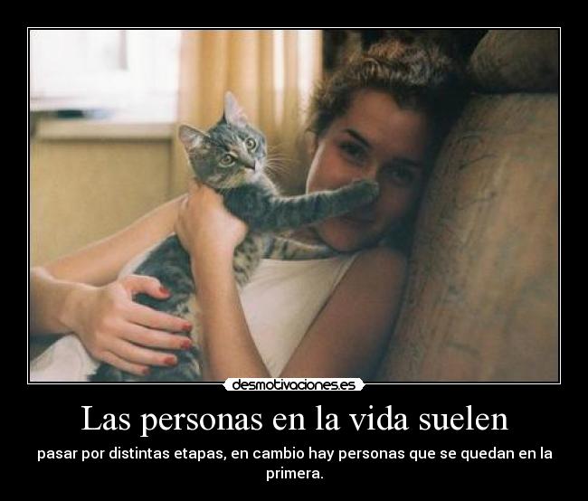 Las personas en la vida suelen -