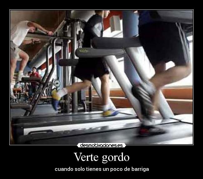 Verte gordo - 