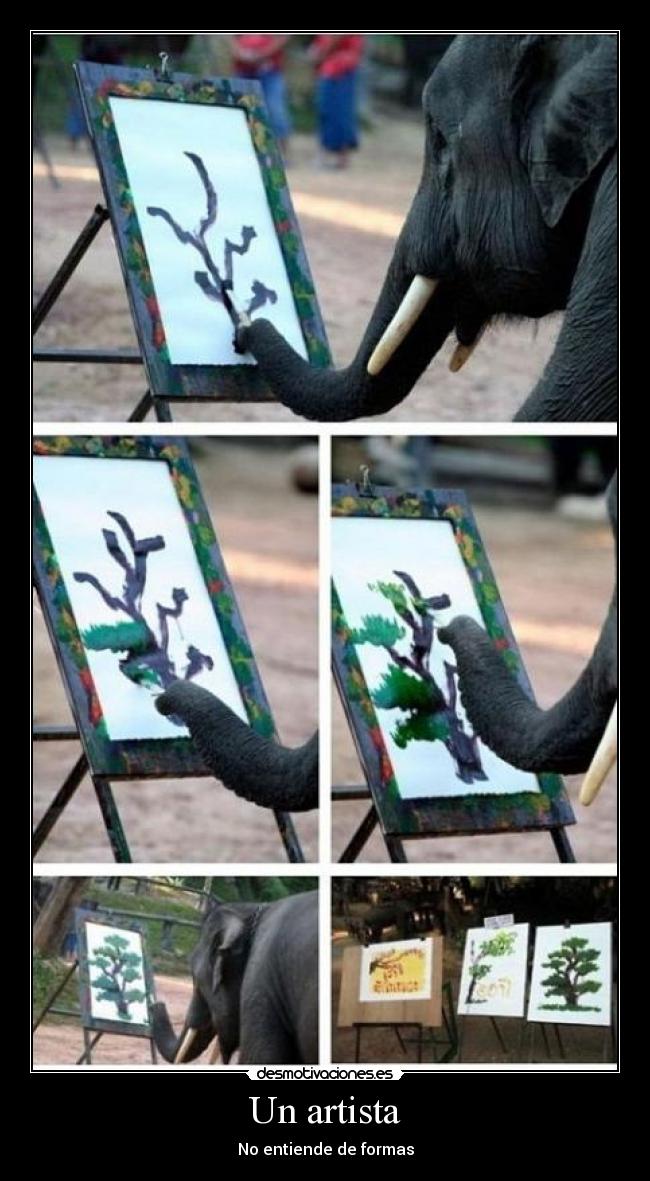 Un artista - No entiende de formas