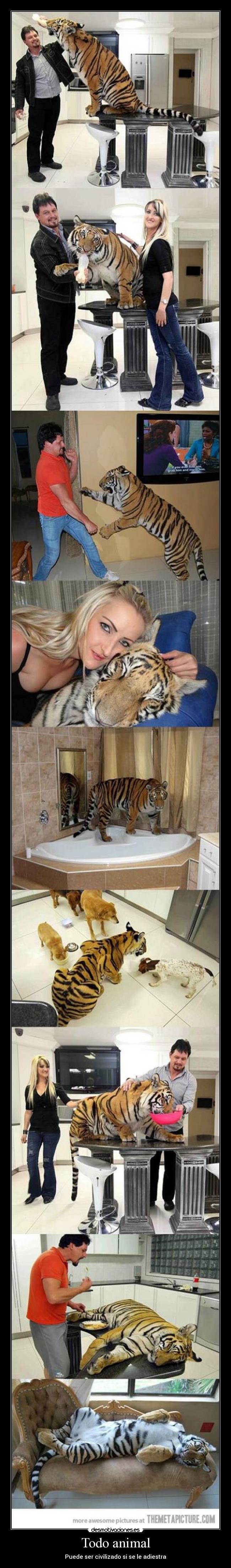 Todo animal - Puede ser civilizado si se le adiestra