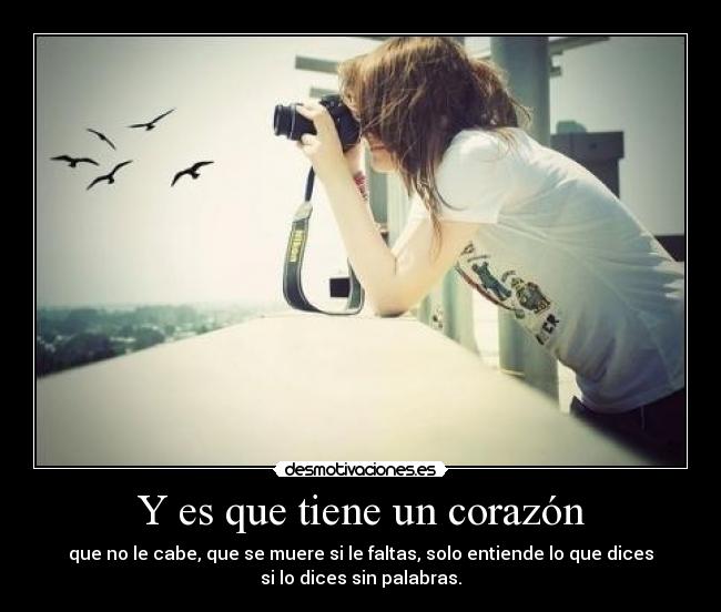 Y es que tiene un corazón - que no le cabe, que se muere si le faltas, solo entiende lo que dices
si lo dices sin palabras.