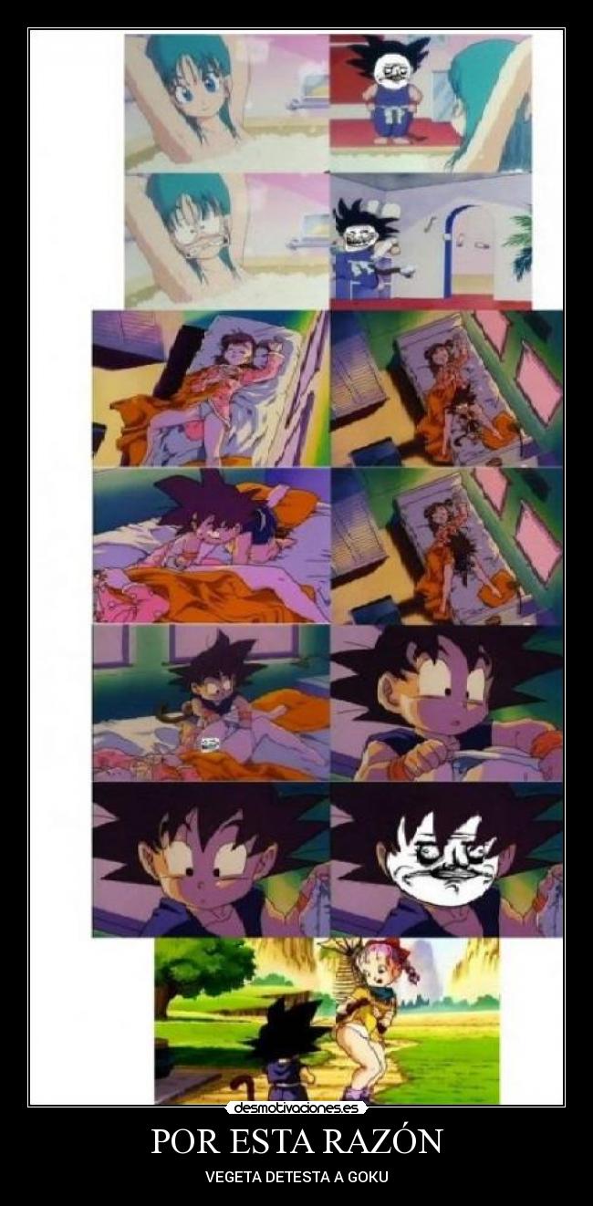 POR ESTA RAZÓN - VEGETA DETESTA A GOKU