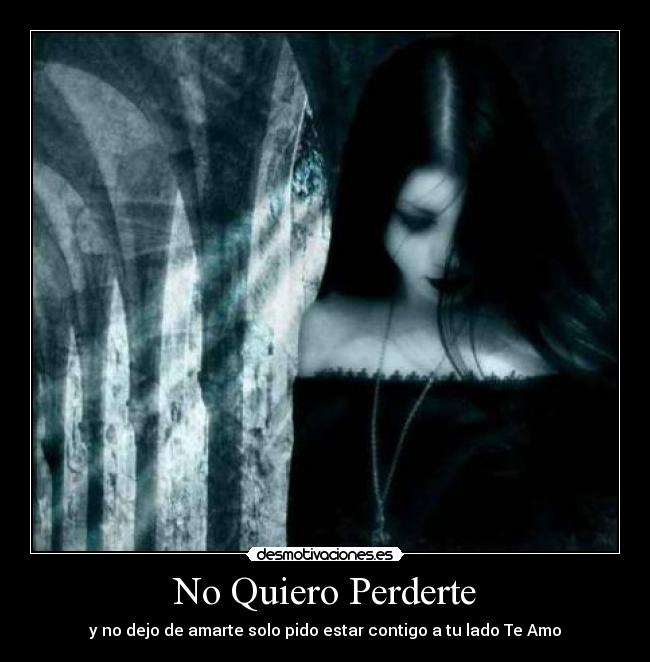 No Quiero Perderte -