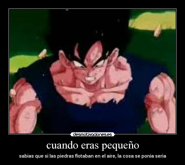 cuando eras pequeño - sabias que si las piedras flotaban en el aire, la cosa se ponia seria