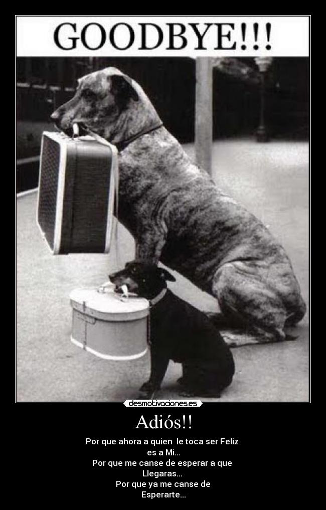 Adiós!! - Por que ahora a quien le toca ser Feliz
es a Mi...
Por que me canse de esperar a que
Llegaras...
Por que ya me canse de
Esperarte...