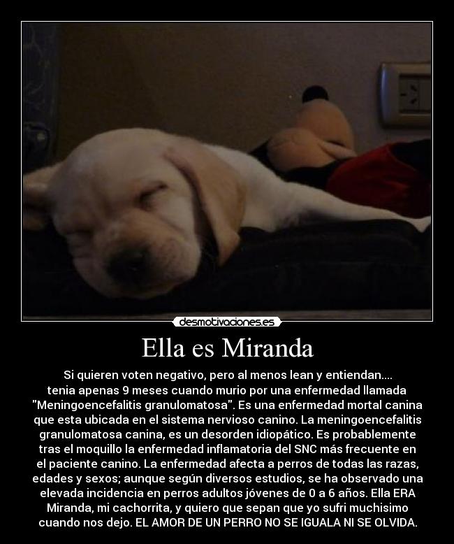 Ella es Miranda -