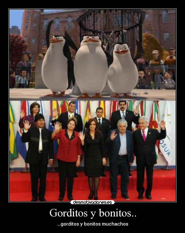 Gorditos y bonitos.. -