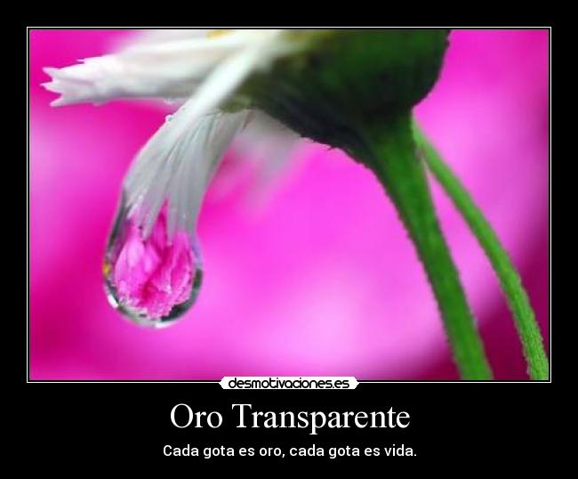 Oro Transparente - Cada gota es oro, cada gota es vida.