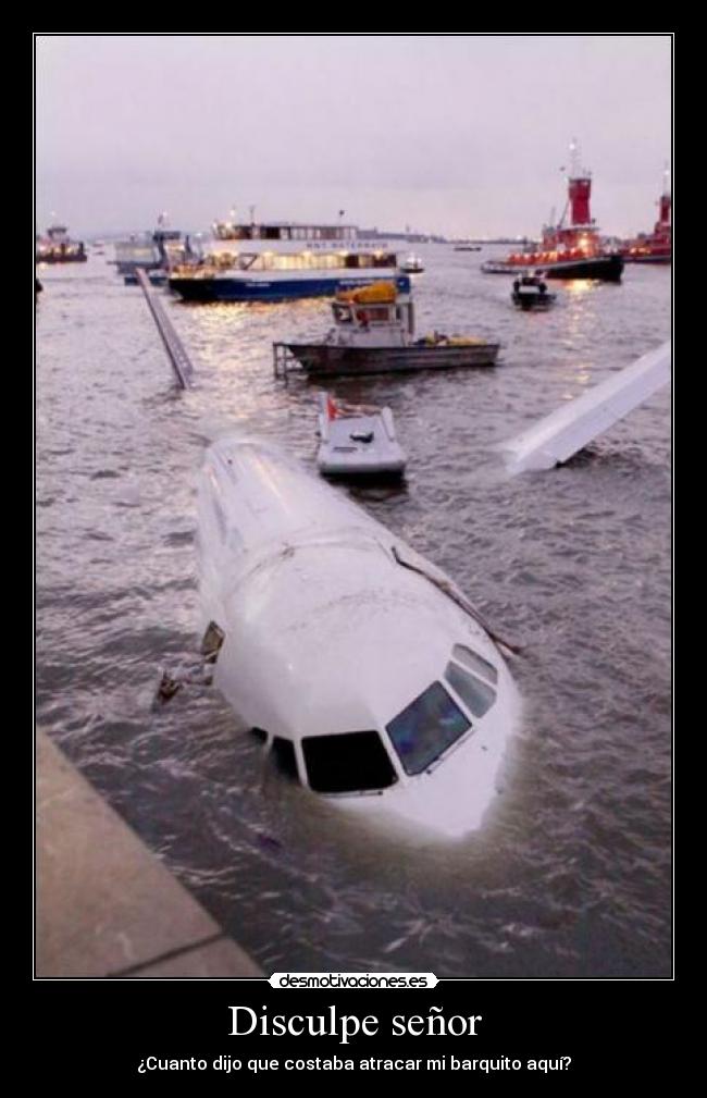 carteles vanete una libelula desmotivaciones