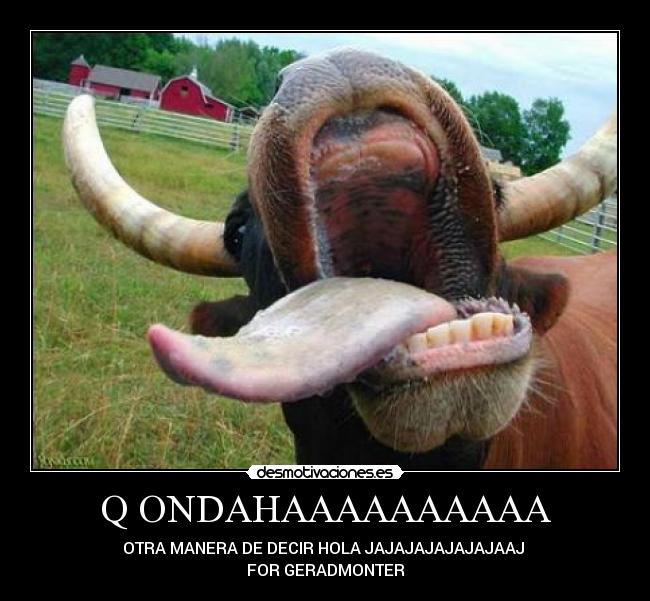 Q ONDAHAAAAAAAAAA - OTRA MANERA DE DECIR HOLA JAJAJAJAJAJAJAAJ 
FOR GERADMONTER