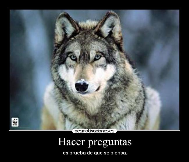 Hacer preguntas - 