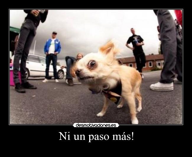 Ni un paso más! -