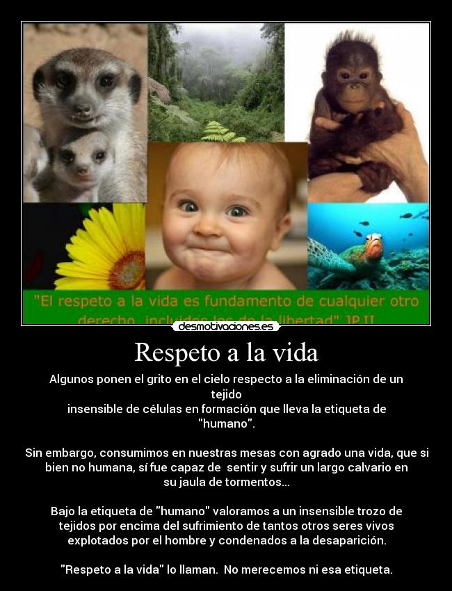 carteles vida jesucristo hijo dios desmotivaciones