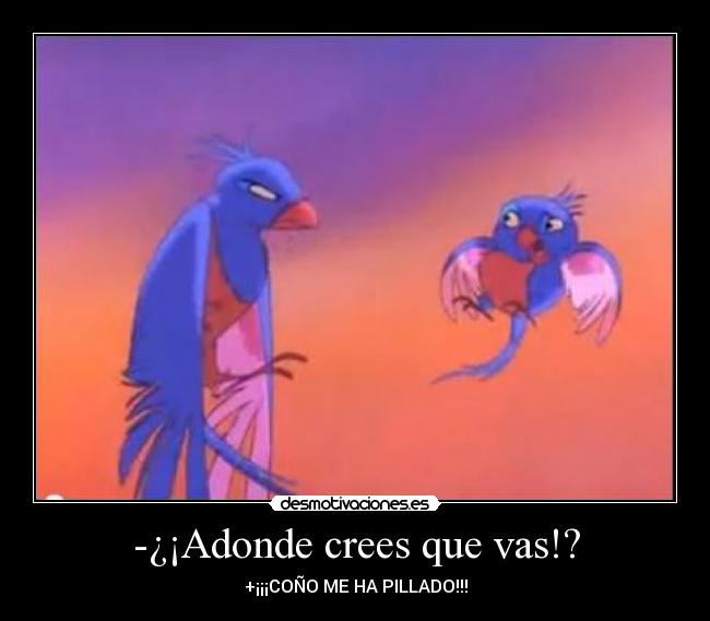 -¿¡Adonde crees que vas!? -