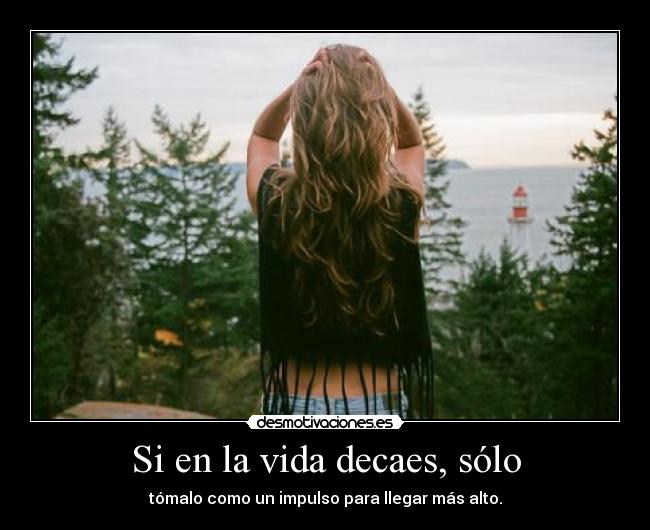 carteles vida leocuervo760 belteamo carpediem ntvg desmotivaciones