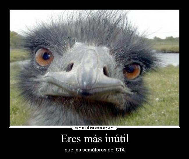 Eres más inútil - que los semáforos del GTA