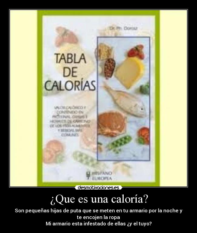 ¿Que es una caloría? - Son pequeñas hijas de puta que se meten en tu armario por la noche y
te encojen la ropa
Mi armario esta infestado de ellas ¿y el tuyo?