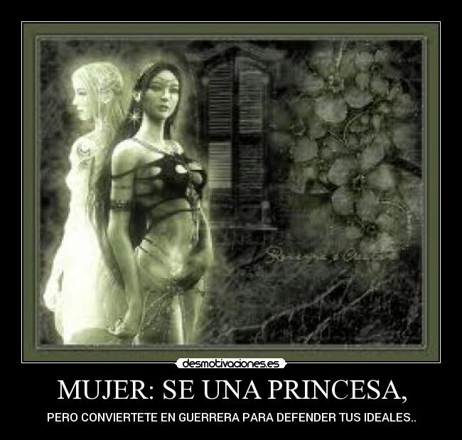 carteles mujer princesa guerrera desmotivaciones