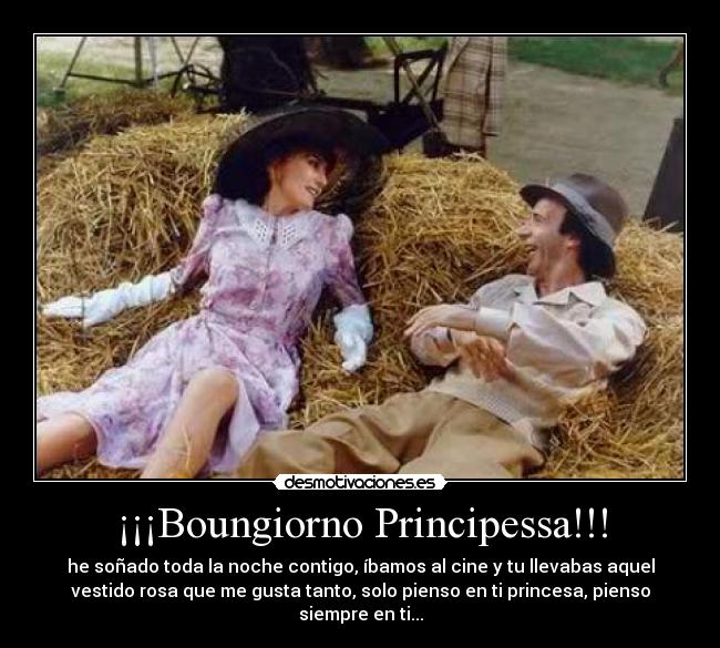 carteles buenos dias princesa desmotivaciones