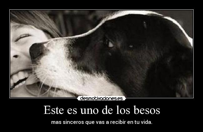 Este es uno de los besos - mas sinceros que vas a recibir en tu vida.