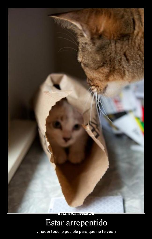 Estar arrepentido - 