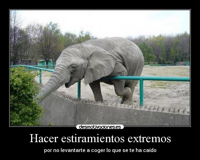 Hacer estiramientos extremos -
